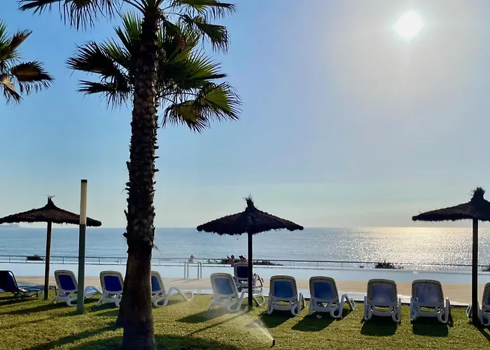 Yourspain P326a Torrevieja